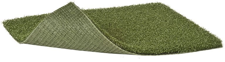 Money Putt Landing Turf