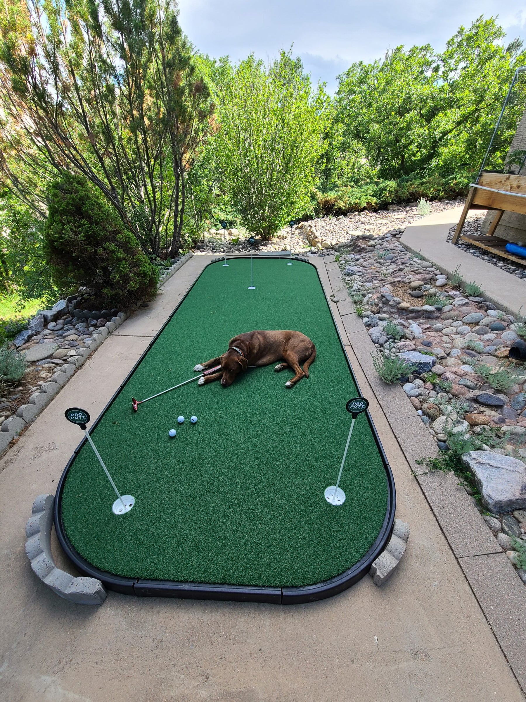 Personal Putt and Chip Complex 6'x23'