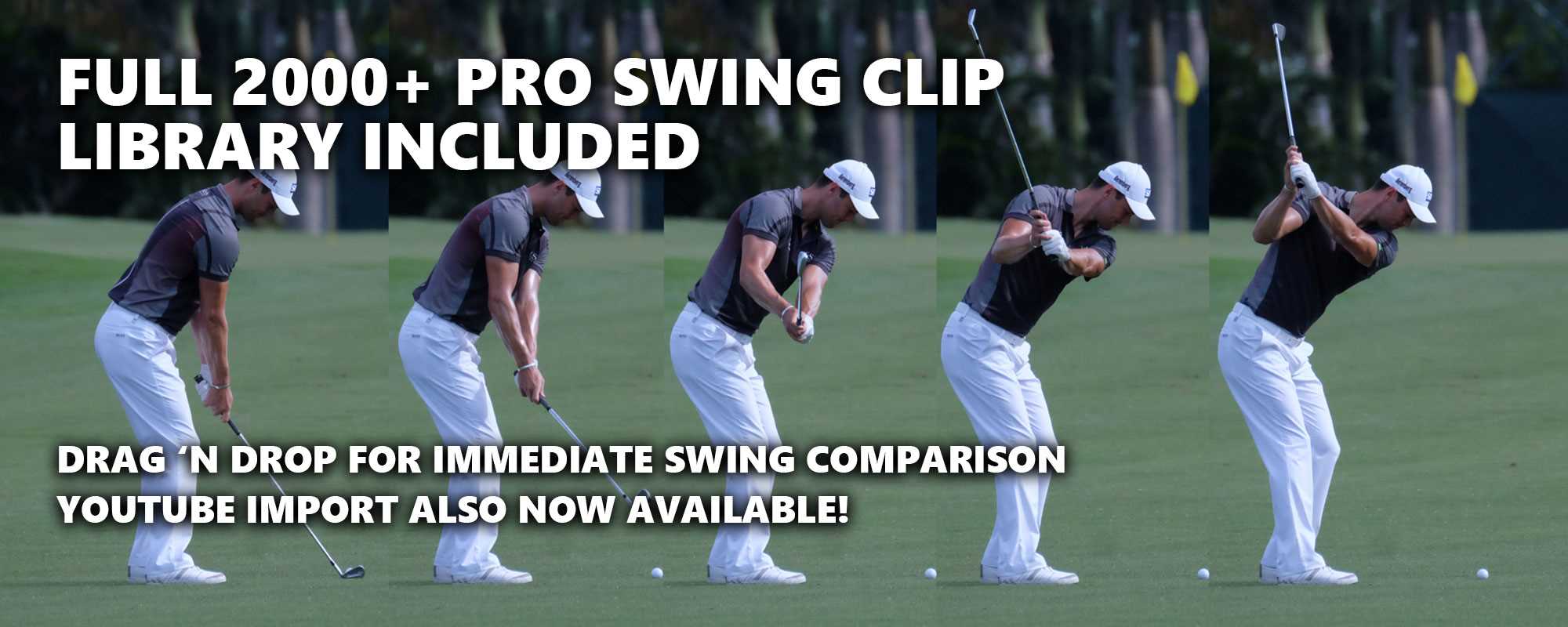 Full 2000+ pro swing clip library included